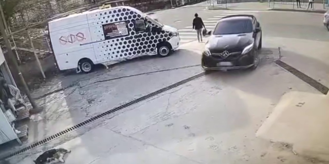 В Туапсе водитель на авто переехал щенков и скрылся с места происшествия