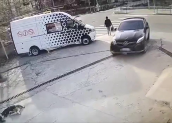 В Туапсе водитель на авто переехал щенков и скрылся с места происшествия