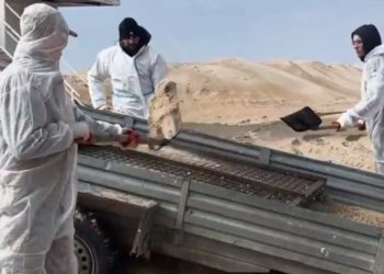 Туроператоры детского отдыха в Анапе попросили помощи