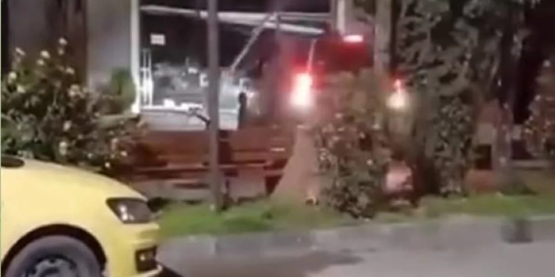 Появились детали ЧП с въехавшей в магазин машиной в Сочи