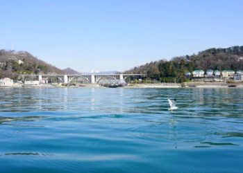 В Сочи внедрят особые технологии строительства мостов