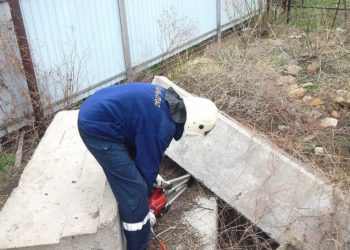 Спасатели извлекли собаку из-под бетонных плит в Краснодарском крае