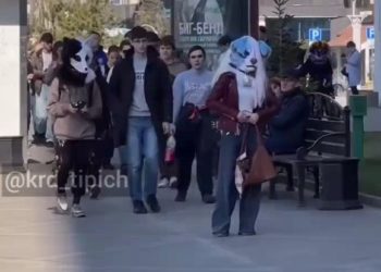 На улицах Краснодара начали появляться квадроберы