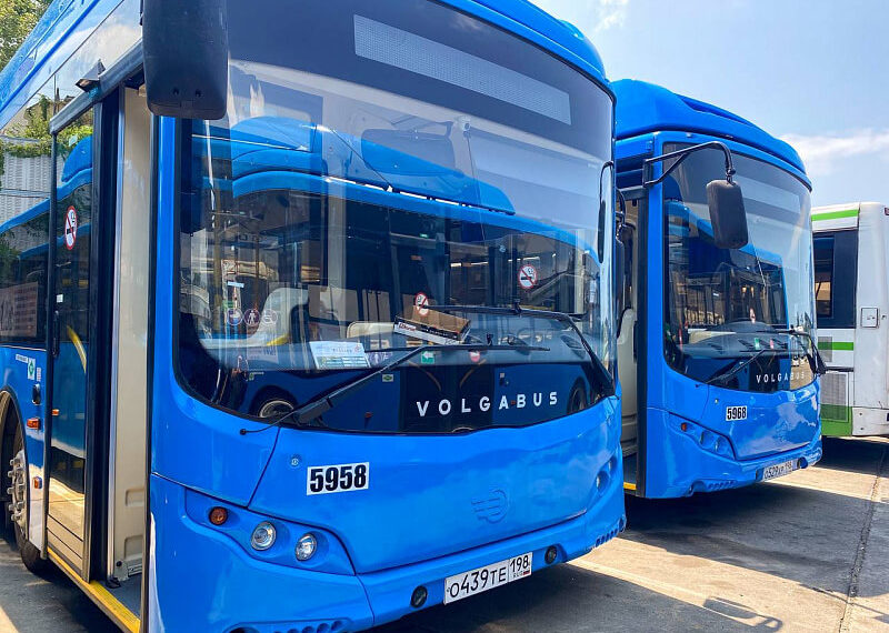 В Сочи появятся ночные автобусы между аэропортом и вокзалами