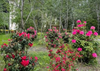 Убираем теплую одежду: синоптики определили дату смены гардероба на Кубани