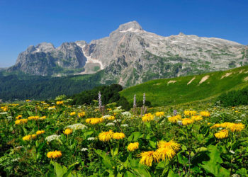 Погода в Краснодарском крае 17 марта: дожди, ветер и перепады температур