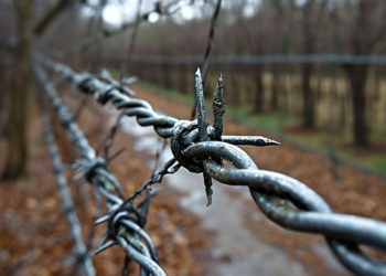 В Новороссийске скончался ЗК, сидевший за участие в запрещённой организации