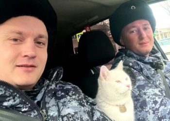 Неожиданный напарник: пушистый «коллега» помог росгвардейцам в Анапе