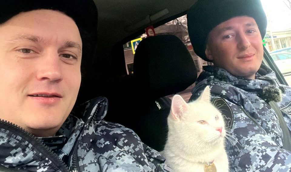 Неожиданный напарник: пушистый «коллега» помог росгвардейцам в Анапе