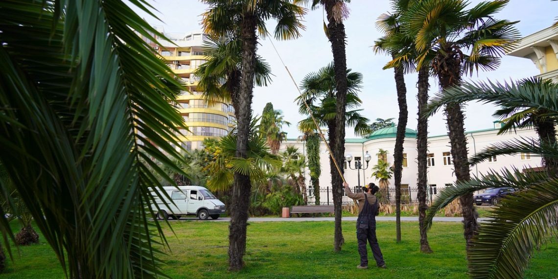 Апрель в этом году на Кубани будет аномальным. Синоптики сказали, что придет