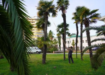 Апрель в этом году на Кубани будет аномальным. Синоптики сказали, что придет