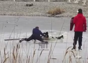 В Новороссийске спасли провалившуюся под лед девочку