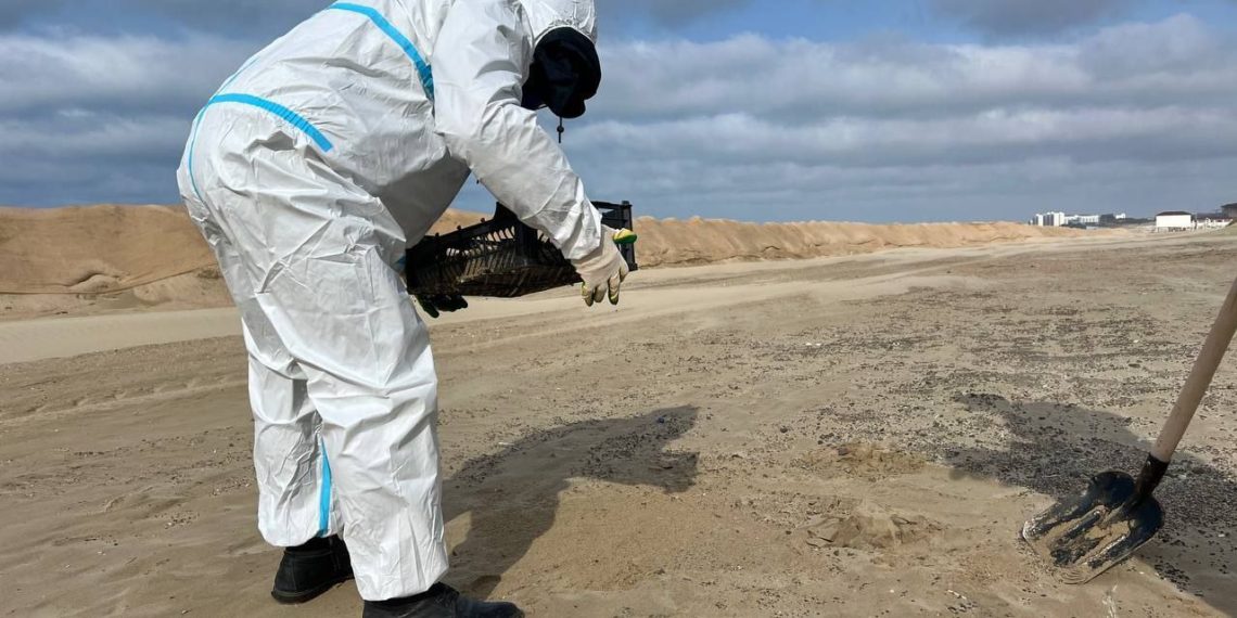 В Краснодарском крае из-за потепления участились случаи точечных выбросов мазута