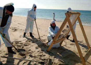 На Кубани более 144 тонн загрязненного мазутом песка вывезли на утилизацию