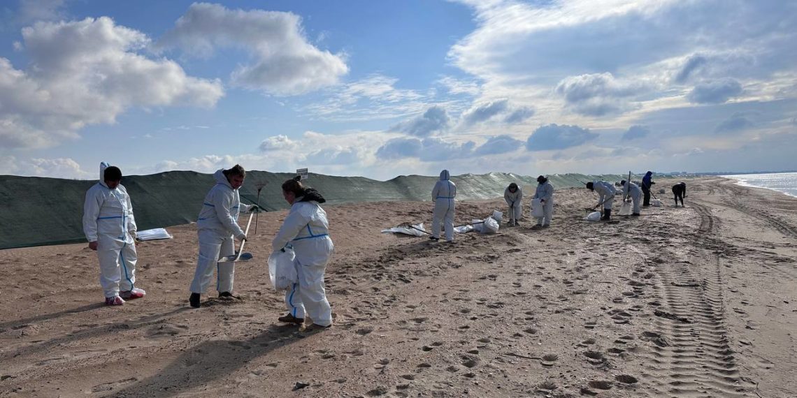 На Кубани обнаружили небольшие выбросы мазута 22 марта