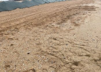 На Кубани собрали 151 тысячу тонн загрязненных мазутом песка, грунта и гальки