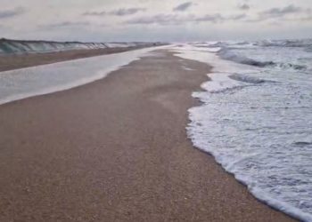 В Краснодарском крае обнаружили небольшие выбросы мазута 5 марта