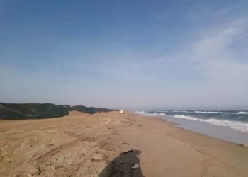 В Анапе обнаружили незначительные выбросы мазута 12 марта