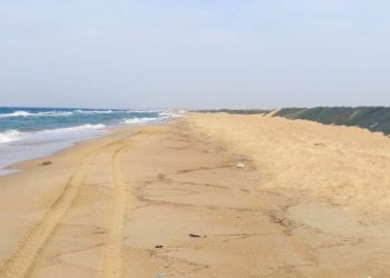 В Анапе обнаружили новые выбросы мазута 13 марта