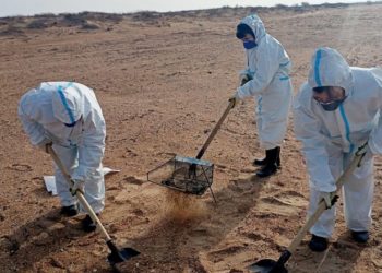 На Кубани собрали 149 тысяч тонн загрязненного мазутом песка и грунта