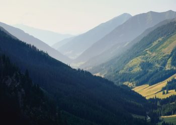 В горах Сочи появится новая дорога благодаря Росимущество