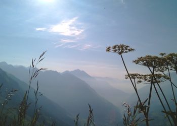 В Краснодаре зафиксировали превышение сероводорода в воздухе