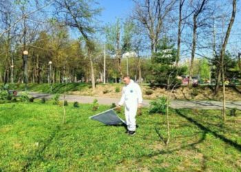 На Кубани клещи активизировались раньше срока из-за аномального тепла