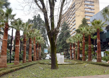 Стал известен самый теплый день на этой неделе в Краснодарском крае