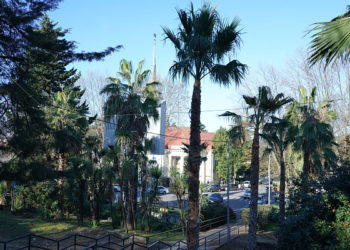 Прогноз погоды на четверг 20 марта в Краснодарском крае