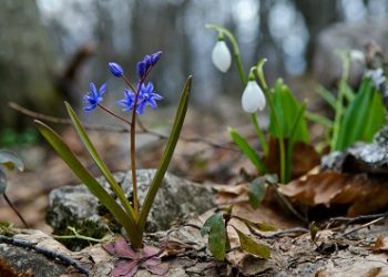 Синоптики неожиданно изменили прогноз на выходные 8 и 9 марта на Кубани