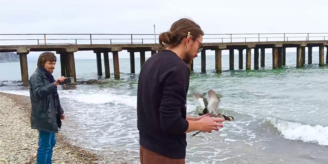 В Туапсинском районе выпустили птиц после очистки от мазута