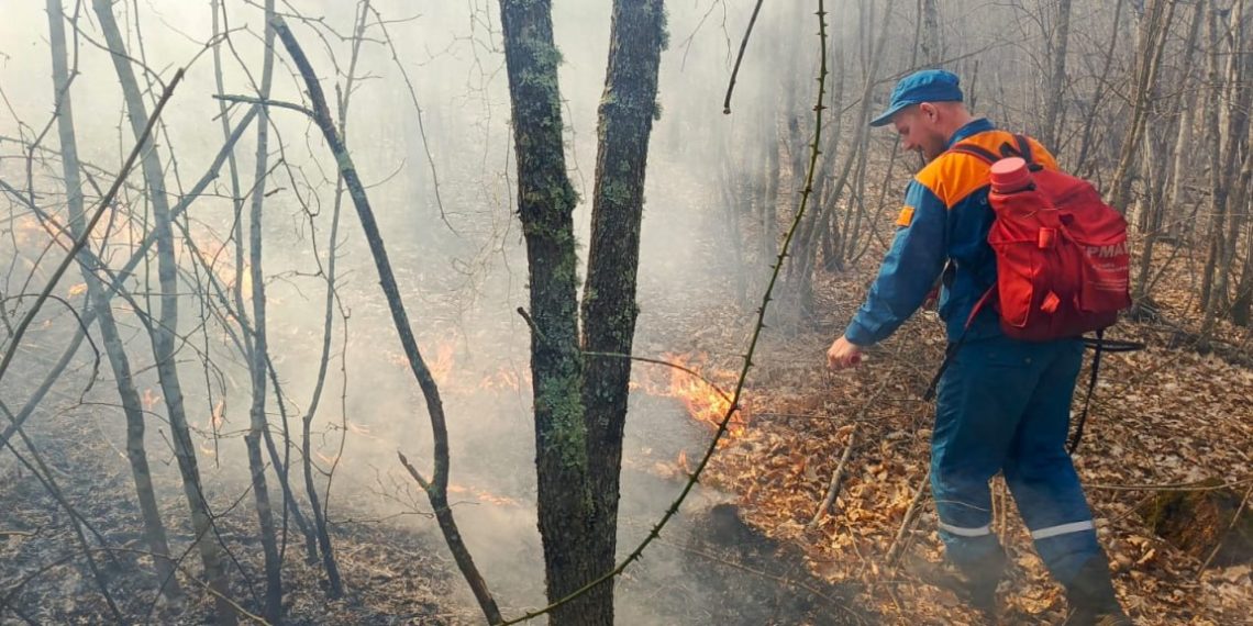 В Геленджике вспыхнул пожар на площади 1,6 га: сухая трава загорелась