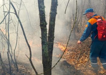 В Геленджике вспыхнул пожар на площади 1,6 га: сухая трава загорелась