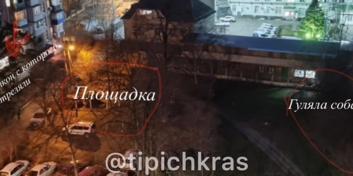 В Краснодаре неизвестная открыла стрельбу по женщине с ребенком и собаке