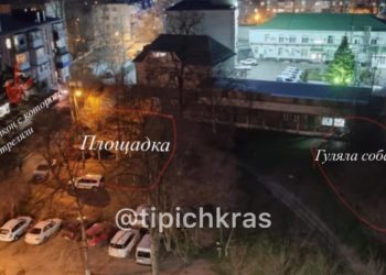 В Краснодаре неизвестная открыла стрельбу по женщине с ребенком и собаке