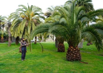 Прогноз погоды на воскресенье и понедельник 23 и 24 марта на Кубани