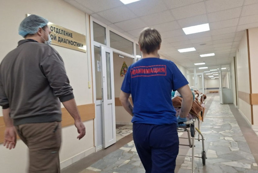 Путин отправил самолет МЧС за мальчиком, пострадавшим от собак