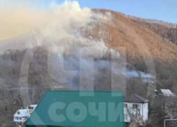 Более 70 человек тушат пожар в Сочинском национальном парке