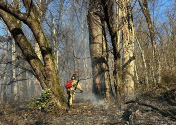 Вертолет сбросил 25 тонн воды на место лесного пожара в Сочи
