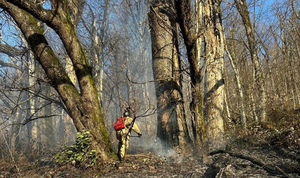 Вертолет сбросил 25 тонн воды на место лесного пожара в Сочи