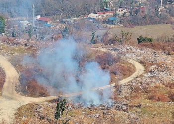 В Туапсинском районе загорелся лес: огонь охватил 200 кв. метров