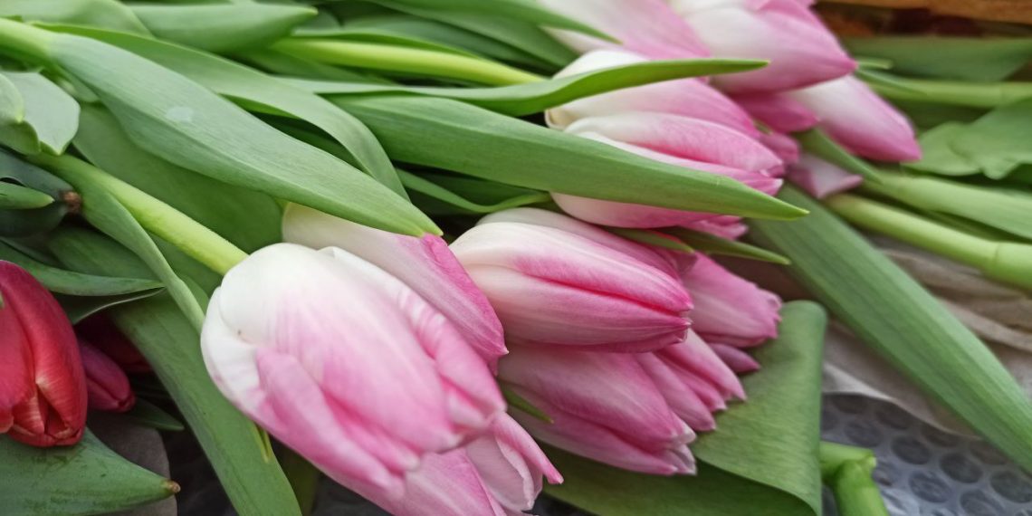 Кондратьев: Мы восхищаемся вашей самоотдачей, преданностью любому делу