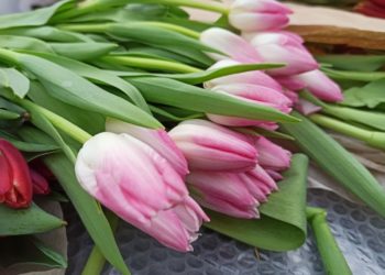 Кондратьев: Мы восхищаемся вашей самоотдачей, преданностью любому делу