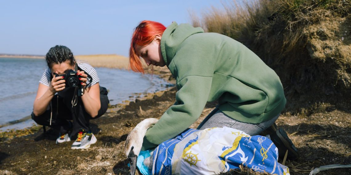 152 птицы находятся на реабилитации в Ставропольском крае и на Кубани