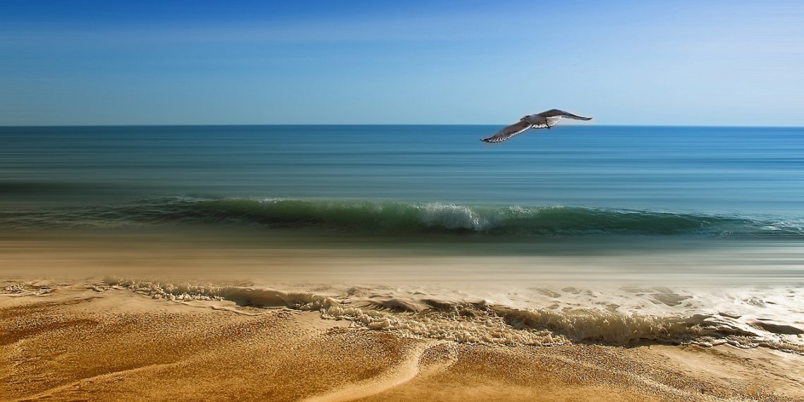 Состояние пляжей Анапы улучшилось после ЧП с мазутом