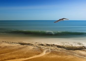 Состояние пляжей Анапы улучшилось после ЧП с мазутом