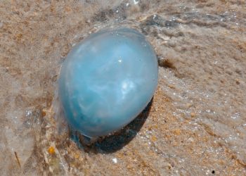 Синоптики до неузнаваемости обновили прогноз на последнюю неделю марта на Кубани