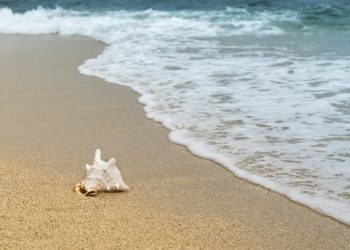 В марте температура в Сочи согреет до +20, но море останется холодным