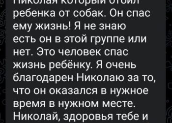 Герой из Сочи: как местный житель отбил 9-летнего мальчика от разъяренных хаски