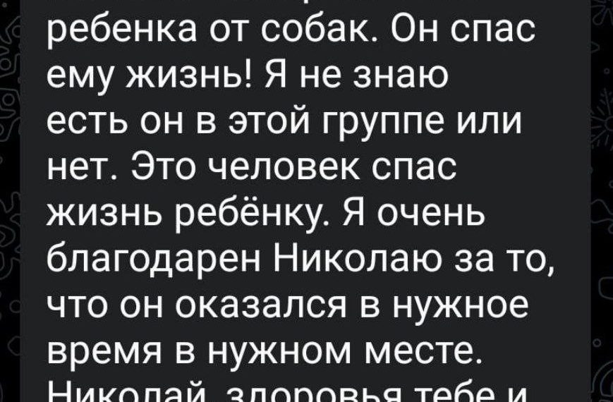 Герой из Сочи: как местный житель отбил 9-летнего мальчика от разъяренных хаски